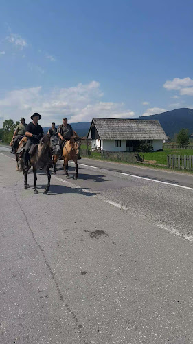 Comentarii opinii despre Hanul Basa Fogadó