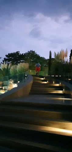 Hotel Restaurant Carul cu Flori - Gastronomie și ospitalitate