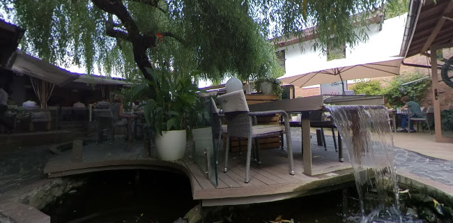 Restaurant Sabres - Gastronomie și ospitalitate