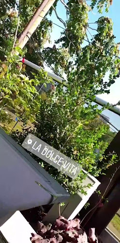 Comentarii opinii despre La Dolce Vita