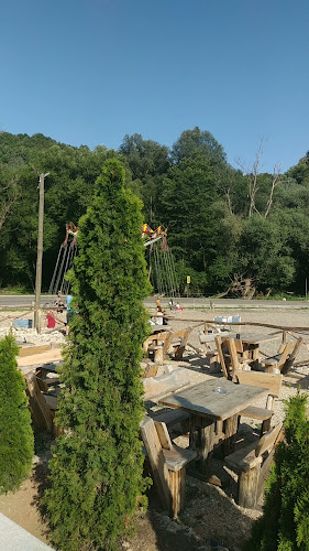 Opinii despre RESTAURANT TRADIȚIONAL BIGĂR în Valea Minișului - Gastronomie și ospitalitate