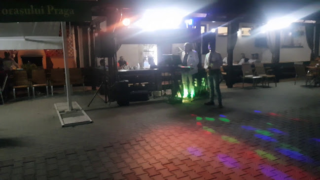 Candy Pensiune/Restaurant - Gastronomie și ospitalitate