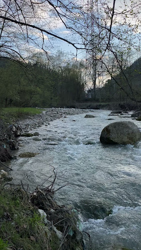 Comentarii opinii despre Lido Gîrbea