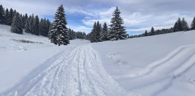Strada Păstorului 5, Brașov 500001