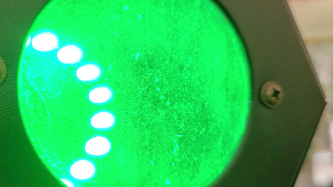 Cinecitta - Gastronomie și ospitalitate