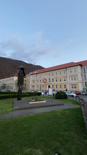 Comentarii opinii despre Lido Gîrbea