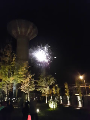 Strada Podul Înalt 22, Vaslui 730217