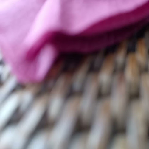 Piața Trandafirilor 53, Târgu Mureș 540053