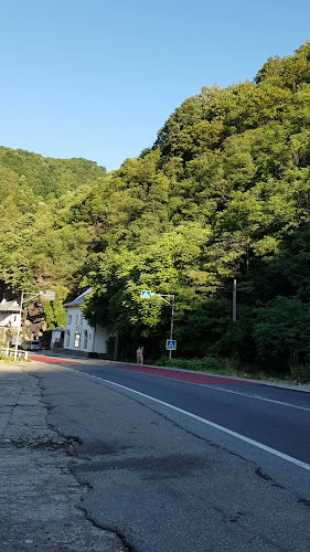 Restaurant Piatra Scrisă - Gastronomie și ospitalitate