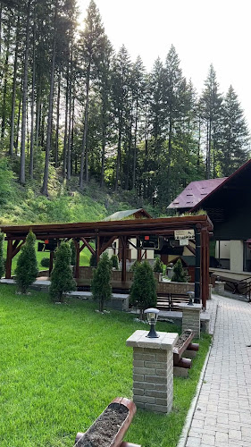 Restaurant Vânătorul - Gastronomie și ospitalitate