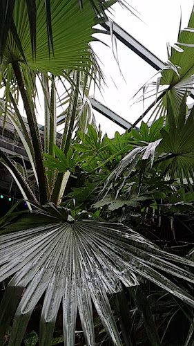 Strada Sarmisegetuza 2, Constanța 900670