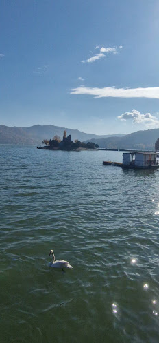 Pensiunea Damiro - Gastronomie și ospitalitate