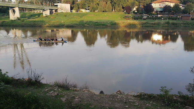 Opinii despre Terasa Belvedere în Arad - Gastronomie și ospitalitate