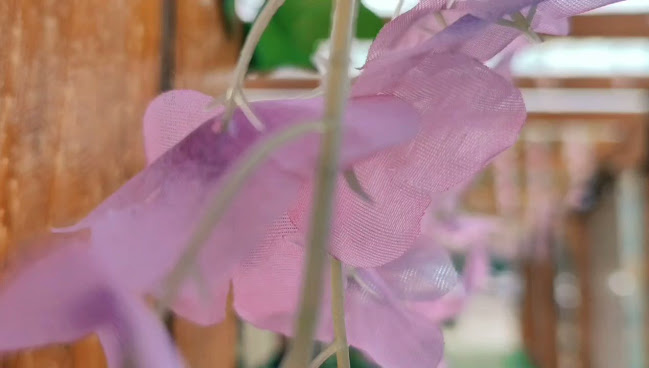 Opinii despre Popas "La Padure" în Finteușu Mare - Gastronomie și ospitalitate