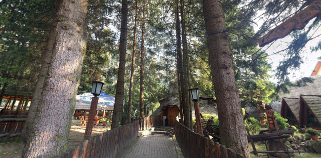 Opinii despre Șura Dacilor în Brașov - Gastronomie și ospitalitate