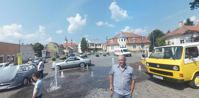 Strada Albert Berger 10, Bistrița 420009