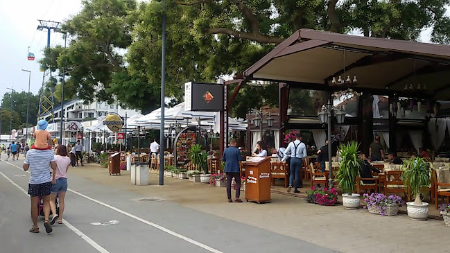 Terasa Andreea - Constanța