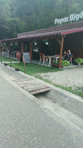 RESTAURANT TRADIȚIONAL BIGĂR - Valea Minișului