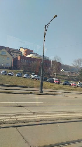 Coda Vinci Terasa Trandafirul