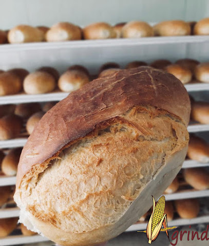 AGRIND S.A. Tășnad