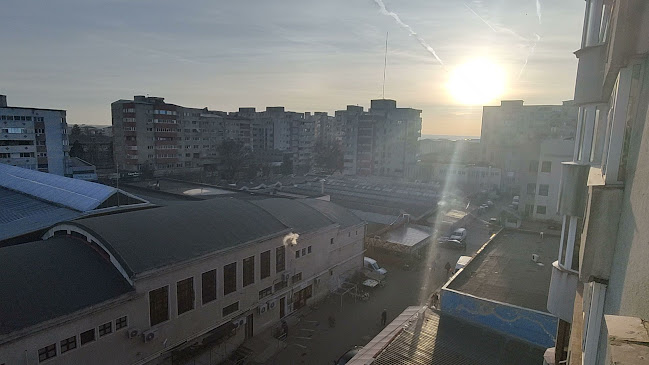 Strada Libertății, Alexandria 140032