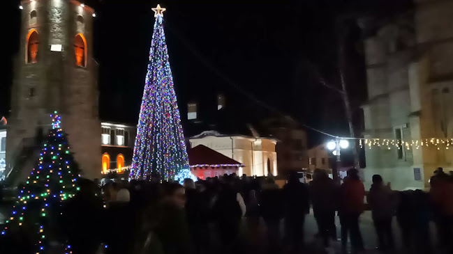 La Curtea Domnească - Piatra Neamț