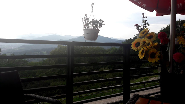 Restaurant Popasul Haiducilor - Gastronomie și ospitalitate