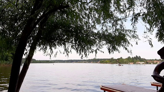 Opinii despre Hanul Vlasiei Snagov în Snagov - Gastronomie și ospitalitate