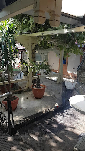 Opinii despre Restaurant Parc Athos în Baia Mare - Gastronomie și ospitalitate