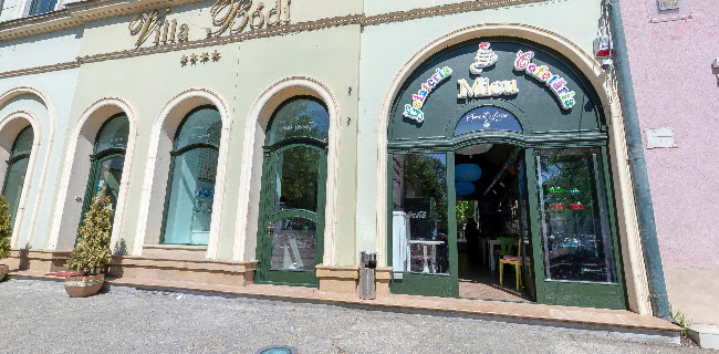 Opinii despre Gelateria & Cofetaria Micu în Satu Mare - Gastronomie și ospitalitate