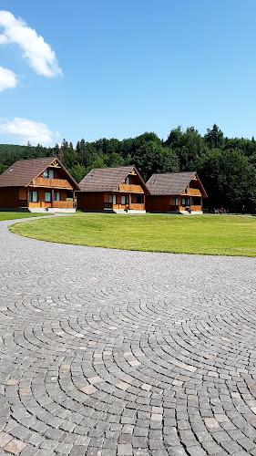 Opinii despre Öreg Szivacs Étterem în Izvoare - Gastronomie și ospitalitate