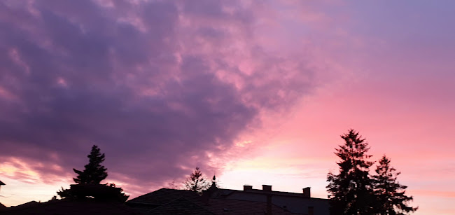 Comentarii opinii despre Terasa La Cina