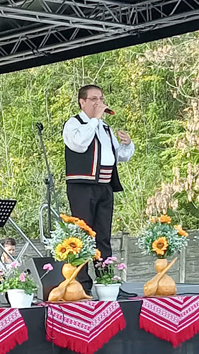 Opinii despre Piața Băilești în Băilești - Gastronomie și ospitalitate