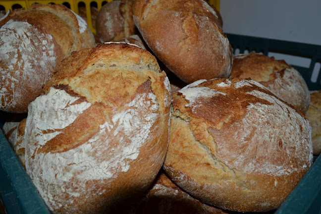 Comentarii opinii despre OLTINA IMPEX PROD COM S.R.L.