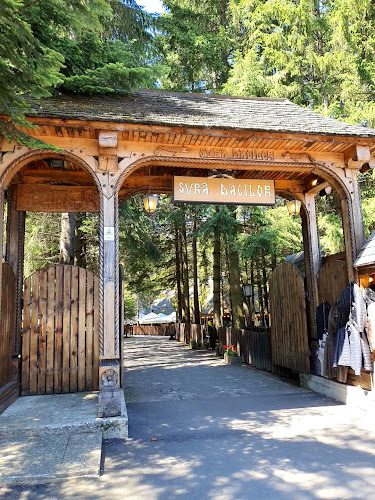 Șura Dacilor - Gastronomie și ospitalitate