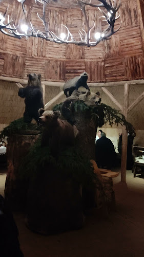 Strada Păstorului 5, Brașov 500001