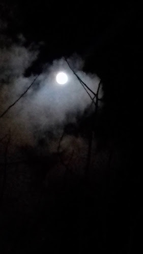 Opinii despre PRODUCŢIE BINGO S.R.L. în Ghelința - Gastronomie și ospitalitate