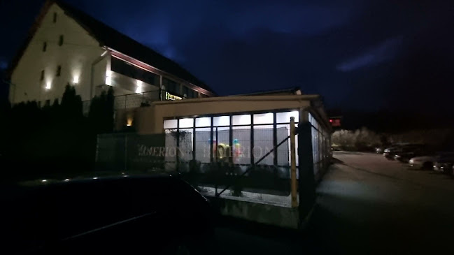 Comentarii opinii despre Hotel-Restaurant Merion