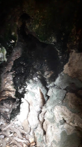 Terasa Baitz - Gastronomie și ospitalitate