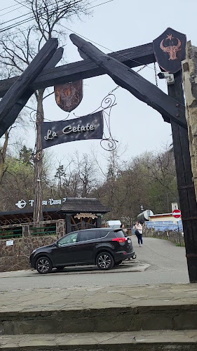 Opinii despre Pensiunea "La Cetate" în Târgu Neamț - Gastronomie și ospitalitate