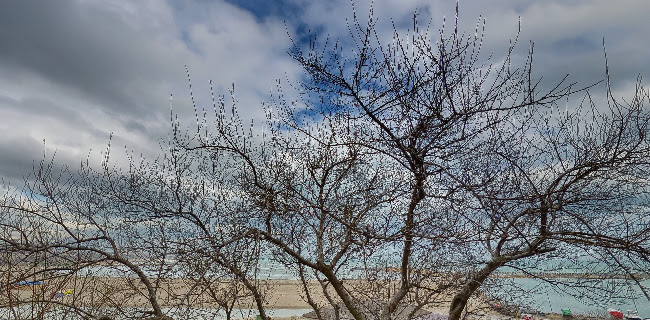 Le Premier - Gastronomie și ospitalitate