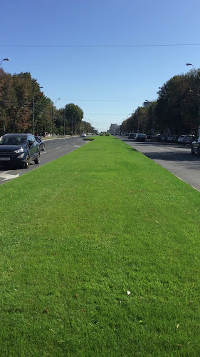 Cozy House - Restaurant Galați