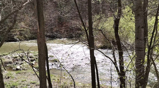 Opinii despre Popasul Turistic Vişina în Bumbești-Jiu - Gastronomie și ospitalitate