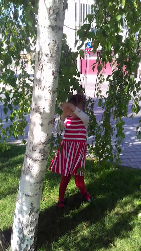 Strada Anton Pann, Vaslui