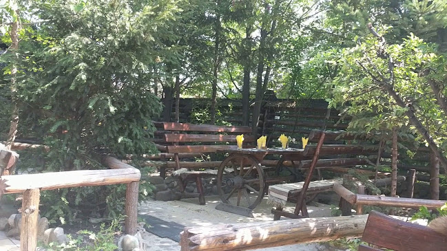 Restaurant Hanul Dacilor Ploiesti - Gastronomie și ospitalitate