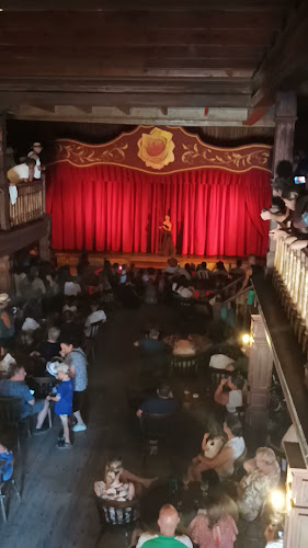 Reset Irish Pub - Gastronomie și ospitalitate