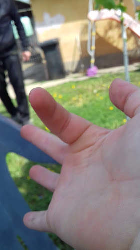 Comentarii opinii despre Restaurantul Favorit