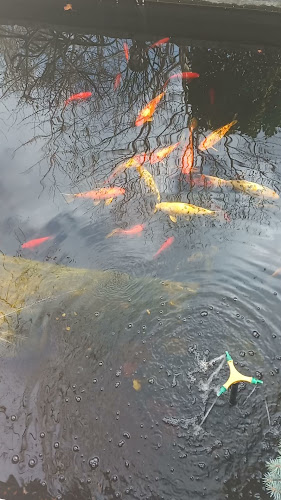 Restaurant Heavens - Gastronomie și ospitalitate