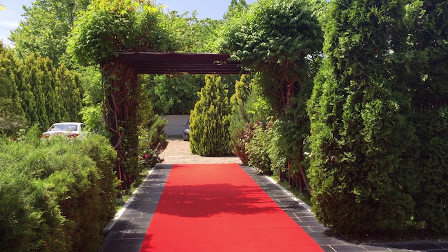 Comentarii opinii despre La Seratta