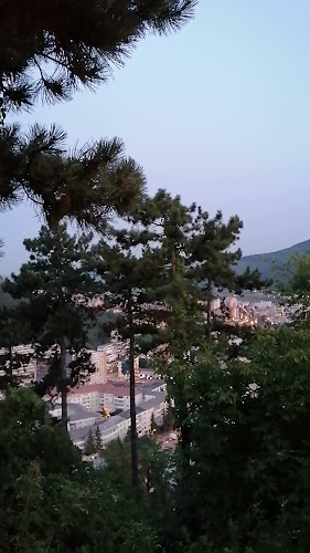 Comentarii opinii despre Cercul Gospodinelor